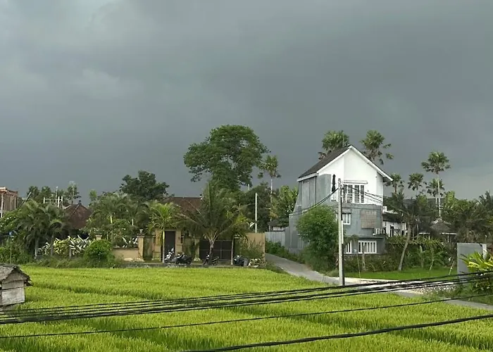 Octo 4 - Rice Field View And Private Pool