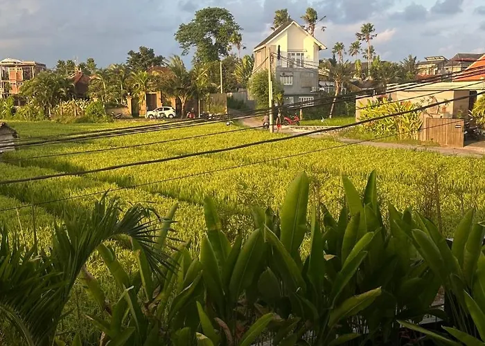 Octo 4 - Rice Field View And Private Pool * Canggu