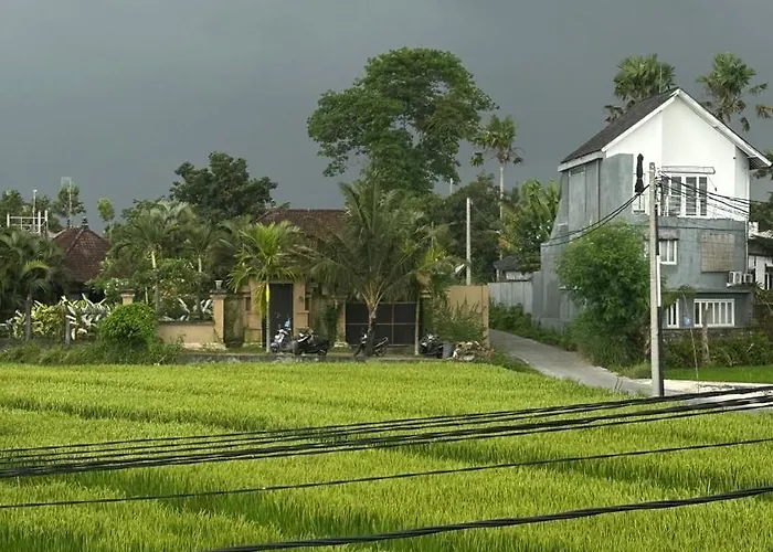 Octo 4 - Rice Field View And Private Pool