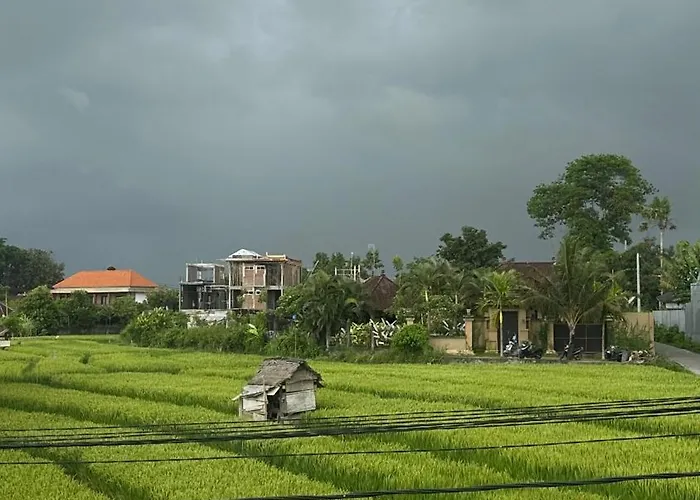 Octo 4 - Rice Field View And Private Pool Villa *