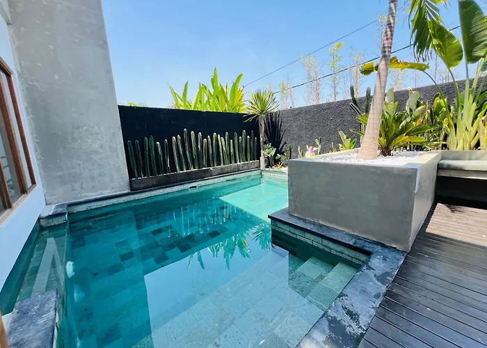 Octo 4 - Rice Field View And Private Pool Villa Canggu